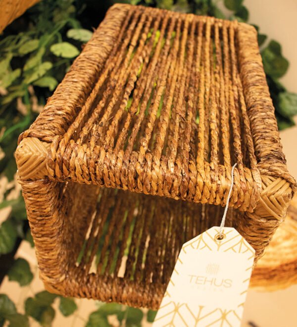 rattan colombiano