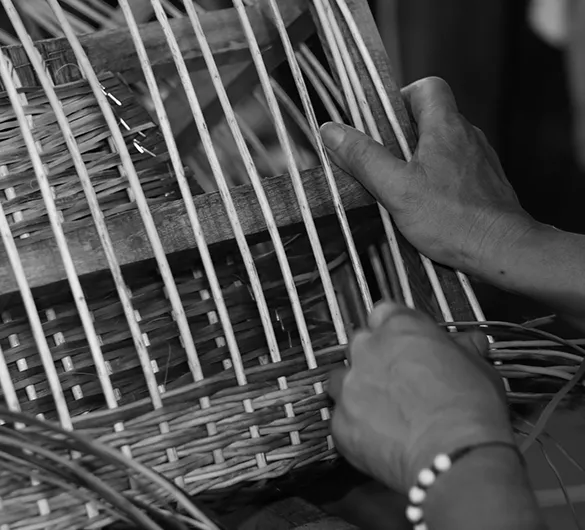 Tehus ratan Medellín